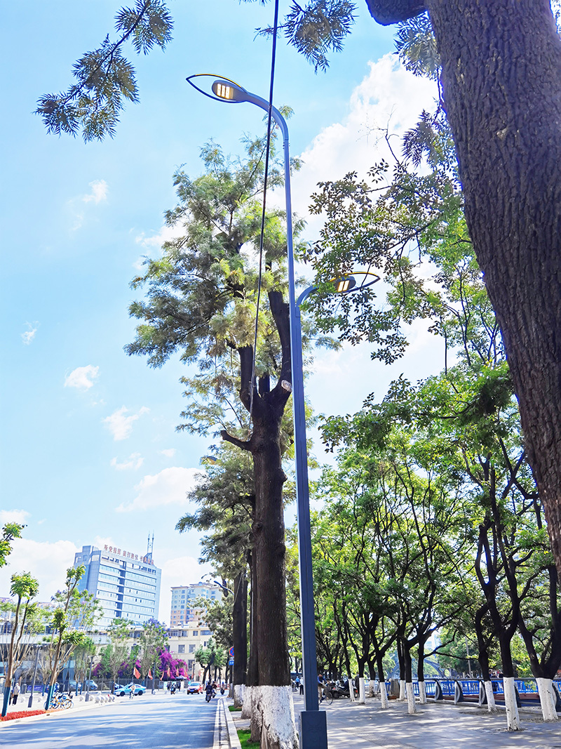 景觀路燈  廠家